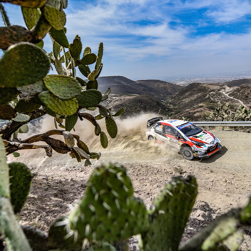 A rally car sprays up dust as it races across a dirt, mountain road past cactuses.